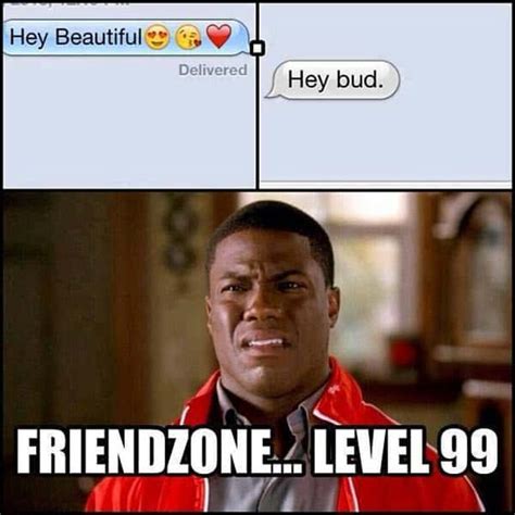 friend zoned meme|funny friend zone memes.